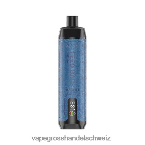 Vape Grosshandel Schweiz - Vapsolo SHISHA Einweg-Vapor Beereneis HTX6V495