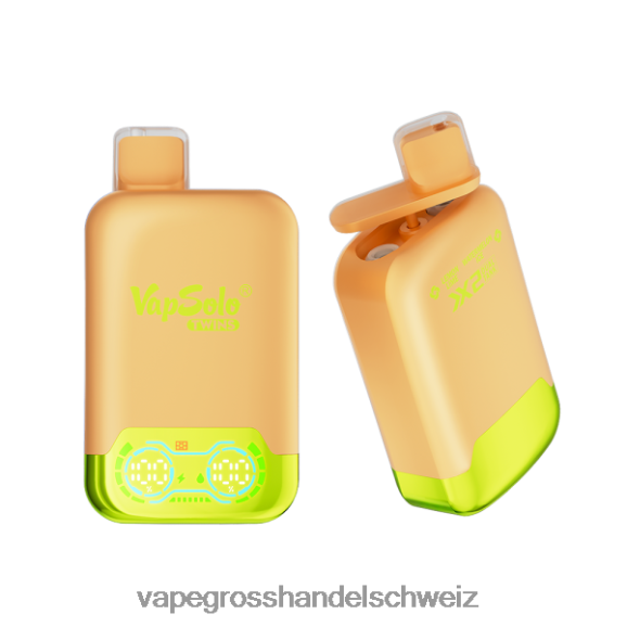 Dampfen Schweiz - Vapsolo TWINS Einweg-Vapor Zitronen-Limetten- und Wassermeloneneis HTX6V4123