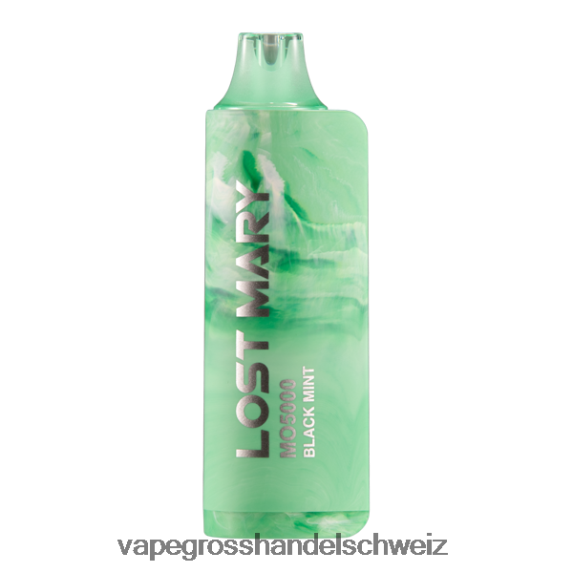 Vape Großhandel Elfbar 666R84514 schwarze Minze LOST MARY MO5000