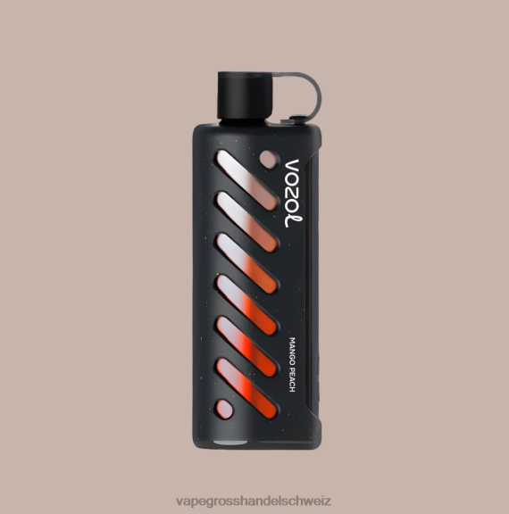 Vape Großhandel - VOZOL Getriebe Shisha 25000 multi 6F4481