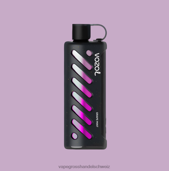 Vape Großhandel - VOZOL Getriebe Shisha 25000 multi 6F4481