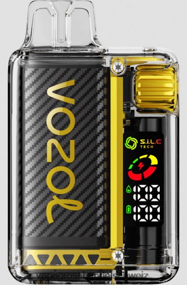 Elektronische Zigarette Iqos 666R8410 Mango-Eis VOZOL VISTA 16000/20000 5 %