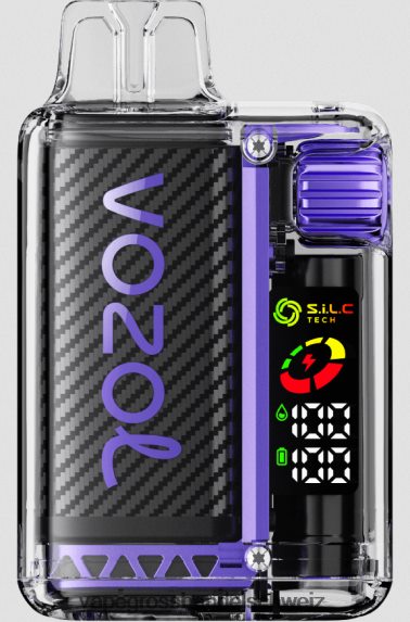 Vape Großhandel Preise 666R8412 Traubeneis VOZOL VISTA 16000/20000 5 %