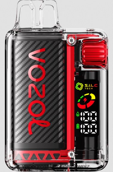 Vape Grosshandel Schweiz 666R845 Erdbeer-Himbeer-Kirsche VOZOL VISTA 16000/20000 5 %