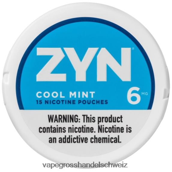 Dampfen Schweiz 666R8416 frische Minze ZYN Nikotinbeutel 6 mg