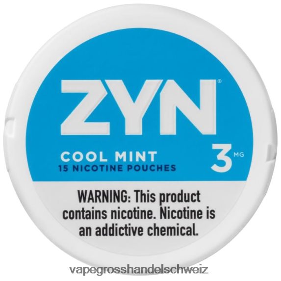 Dampfen Schweiz 666R8426 frische Minze ZYN Nikotinbeutel 3 mg