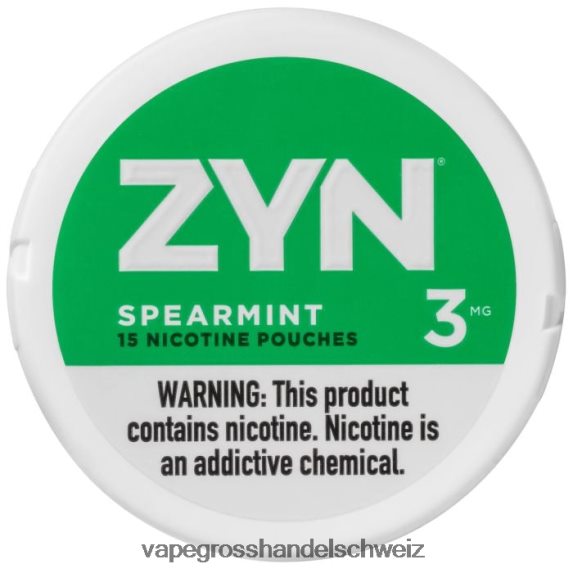 Vape Grosshandel Schweiz 666R8425 grüne Minze ZYN Nikotinbeutel 3 mg